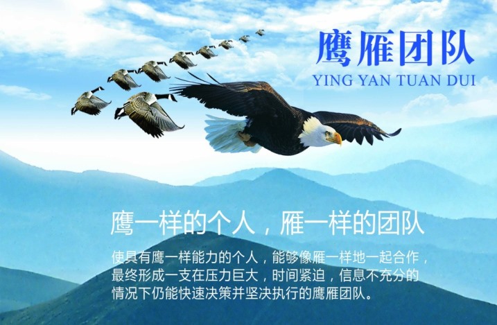 鹰.jpg